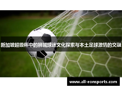 新加坡超级杯中的狮城球迷文化探索与本土足球激情的交融 新加坡超级杯中的狮城球迷文化探索与本土足球激情的交融