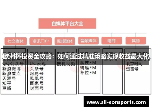 欧洲杯投资全攻略:如何通过精准策略实现收益最大化 欧洲杯投资全攻略:如何通过精准策略实现收益最大化