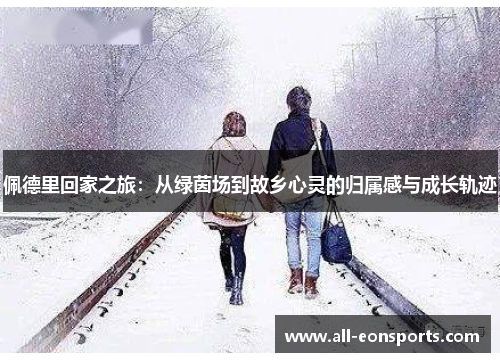 佩德里回家之旅:从绿茵场到故乡心灵的归属感与成长轨迹 佩德里回家之旅:从绿茵场到故乡心灵的归属感与成长轨迹