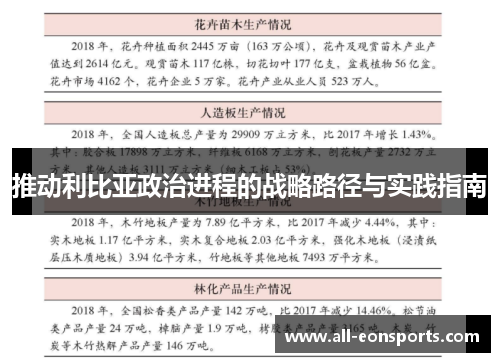 推动利比亚政治进程的战略路径与实践指南 推动利比亚政治进程的战略路径与实践指南